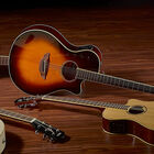 Guitarra Electroacstica
