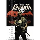 Punisher de Garth Ennis (Marvel Omnibus)