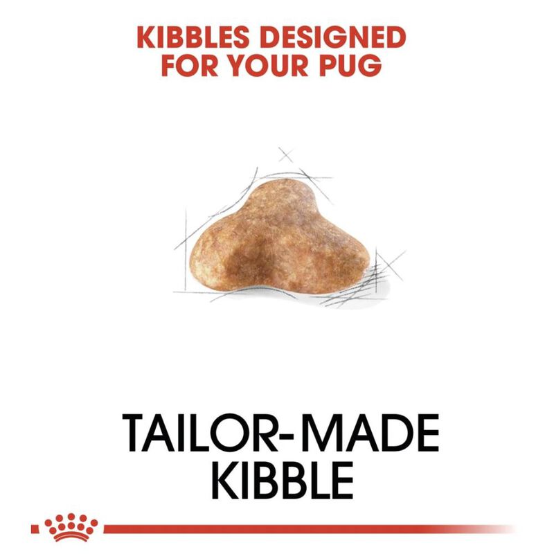 Royal Canin Bhn Pug 4.55 Kg Original Sellado image number null