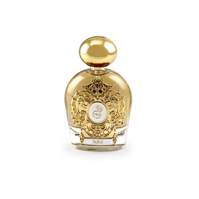 Perfume Tiziana Terenzi Assoluto Adhil Edp 100 ... image number null