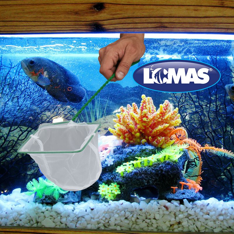 Lomas Red De Malla Fina 4 De 10 Cent&iacute;metros Par... image number null