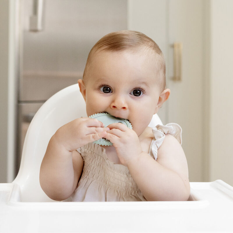 Set De Desarrollo Oral Verde N&oacute;rdico image number null