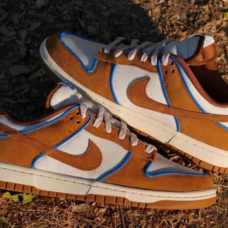 Tenis Casual Nike Dunk Low Retro Prm Fn5825-100... image number null