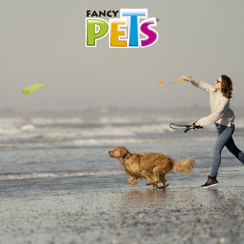 Fancy Pets Juguete Lanzador de Pelota para Perr... image number null