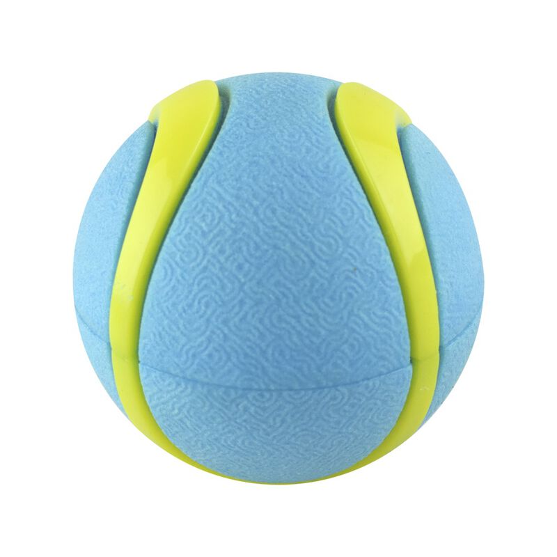 Fancy Pets Pelota Fetch Sport Color Azul para P... image number null