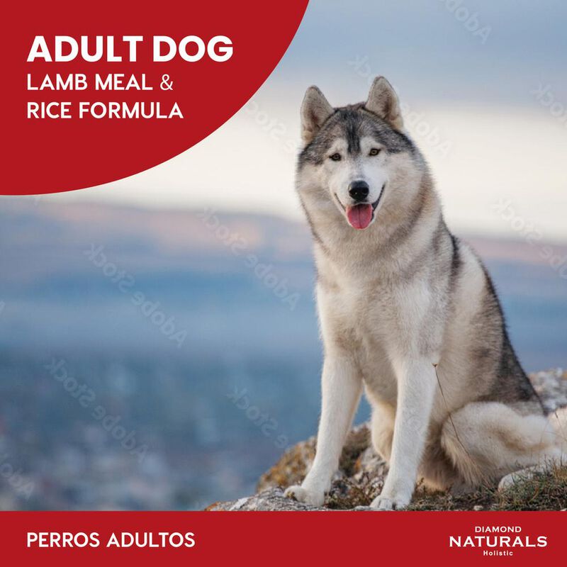 Diamond Naturals Senior Dog Chicken Egg & Oatme... image number null