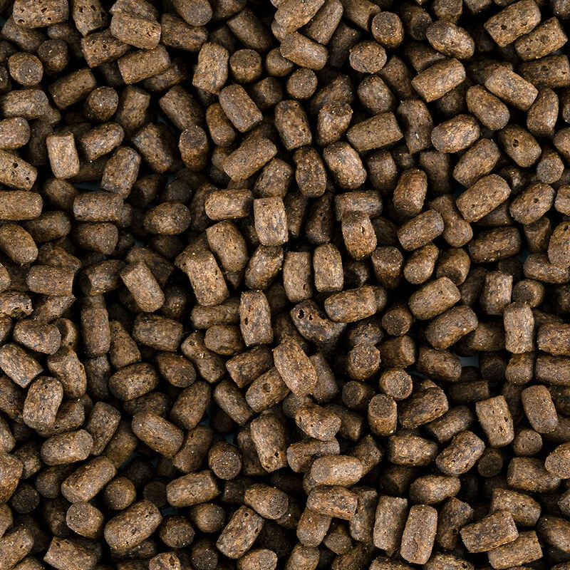 RedKite Alimento Premium Hecho con Carne de Pol... image number null