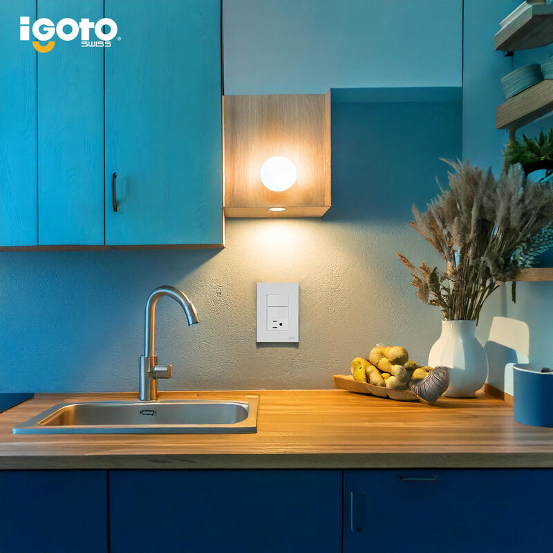 Placa Armada Cristal IGOTO CRIS1009-2009 con 2 ... image number null