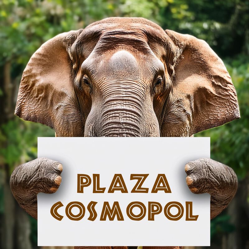 Bioparque + Transporte Incluido EDOMEX Plaza Co... image number null