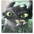 Exclusiva! Cobija Frazada Ultra Suave Como Entrenar a tu Dragon Chimuelo