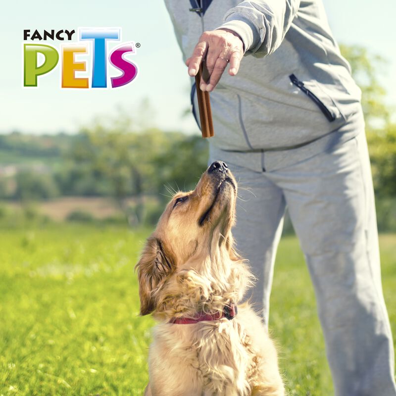 Fancy Pets Yummy Sticks Sabor Carne Para Perro ... image number null