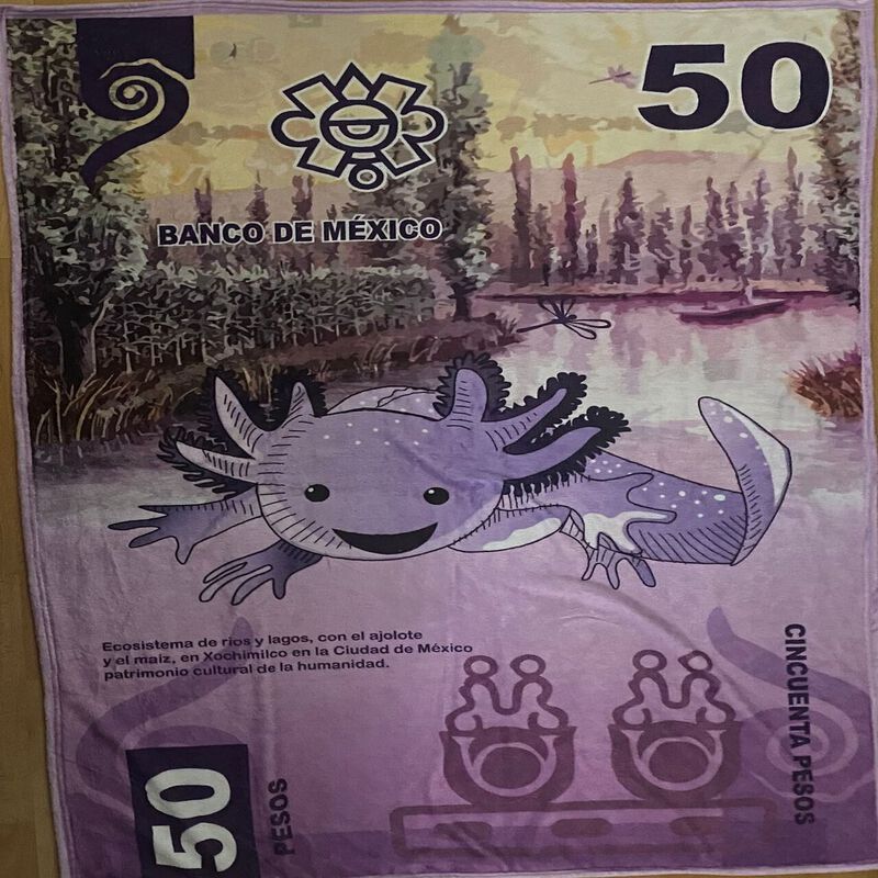 Exclusiva! Cobija Frazada Ultra Suave Billete 5... image number null