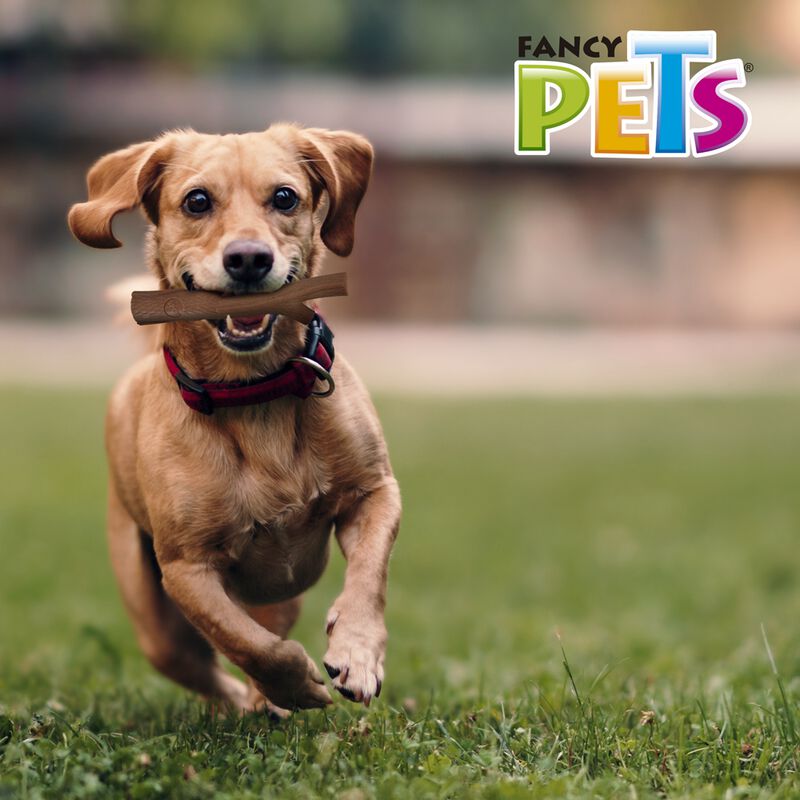 Fancy Pets Rama Bamb&uacute; Plus Juguete para Morder ... image number null