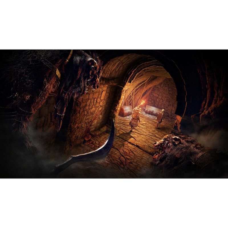 Elden Ring Nightreign (PlayStation 5) image number null