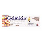 Gelmicin Crema Antimic&oacute;tica 40g