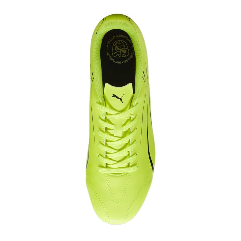 Zapatos de F&uacute;tbol Puma Vitoria FG/AG 107483 04 image number null