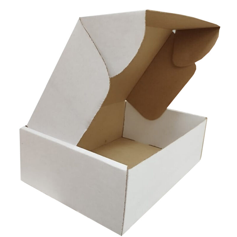 Caja Troq Ecommerce Chica Blanca 25x17x8 image number null