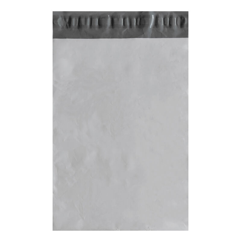 Bolsa Blanca para Enviós Premium 19x26 image number null