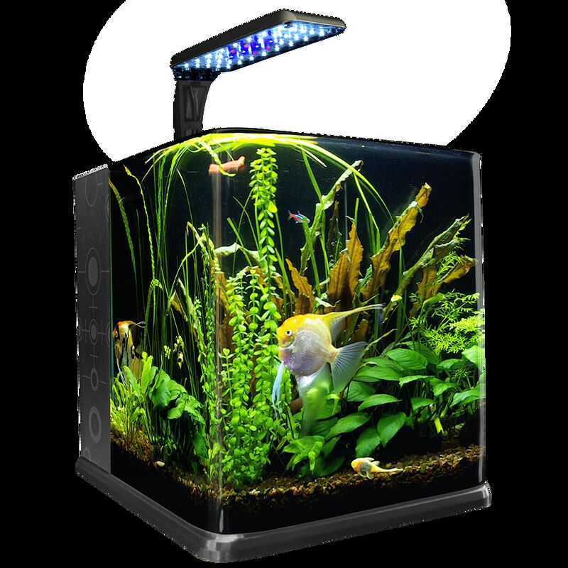Lomas Acuario Nano Cubo De 18 L image number null