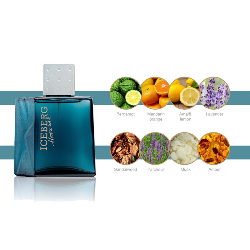 Perfume Iceberg Homme Aromatic Fougere Edt 100 ... image number null