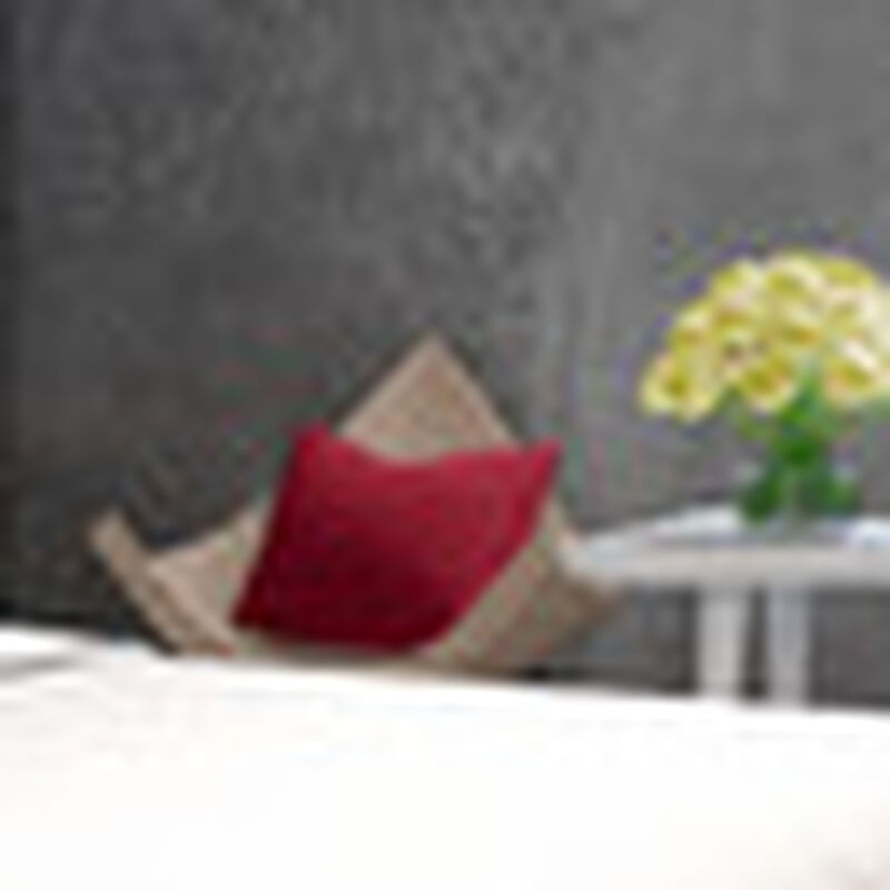 Coj&iacute;n Dicasa DeltaOne Rojo image number null