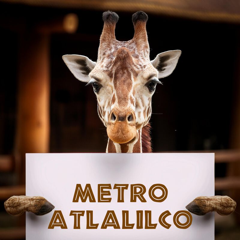 Bioparque + Transporte incluido CDMX Metro Atla... image number null