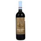 VT MALBEC SYRAH AMICORUM IMAGINADO 750ML