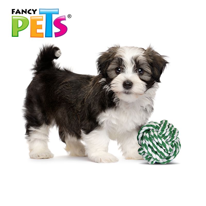 Fancy Pets Bola de Hilo para Perro Multicolor T... image number null