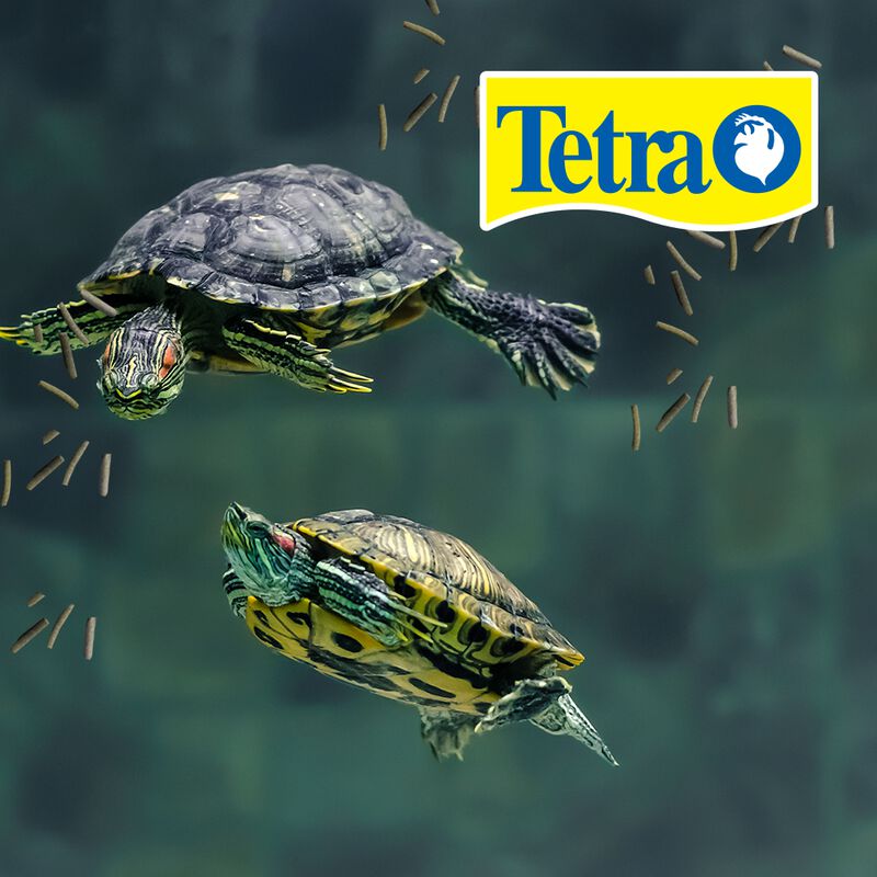 Tetra Reptomin Floating Sticks Alimento Para To... image number null