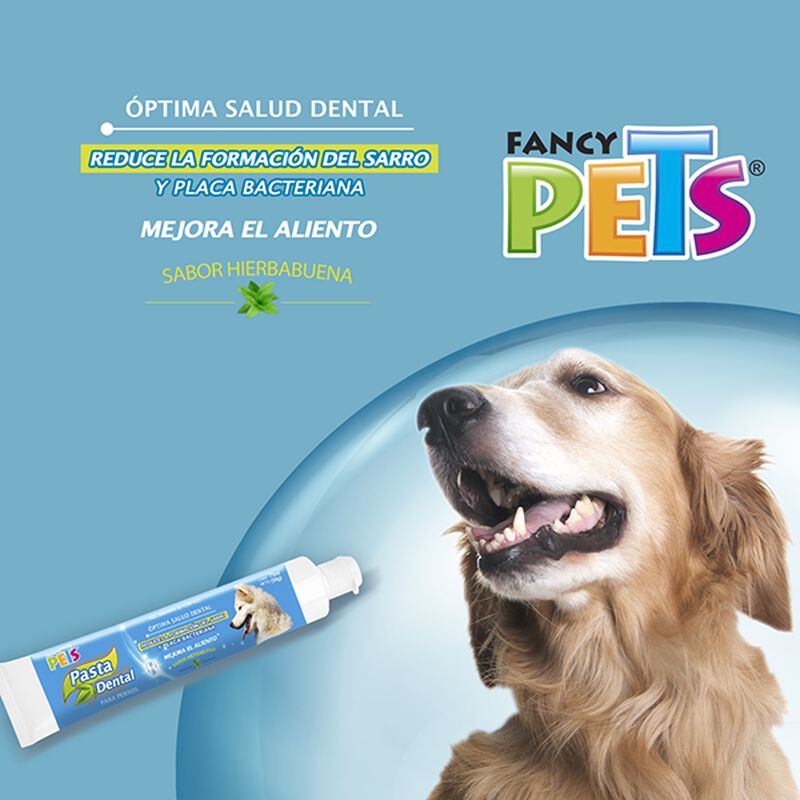 Fancy Pets Pasta Dental 90 G image number null