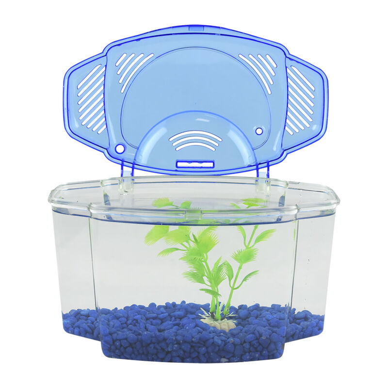 Lomas Kit Betera de Pl&aacute;stico para Iniciaci&oacute;n co... image number null