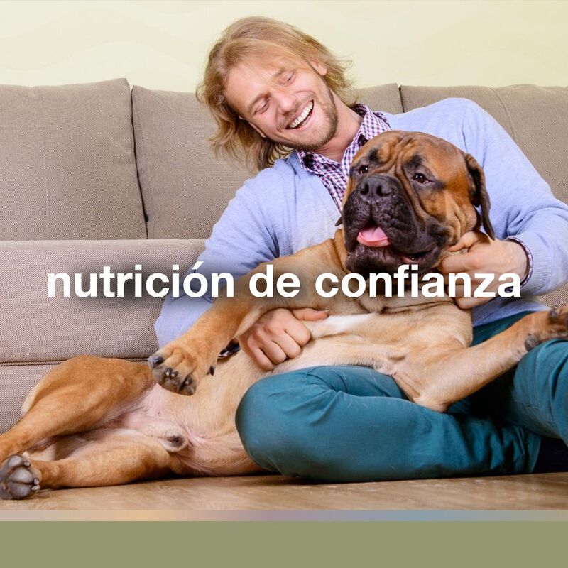 Fulltrust Cordero 8 Kg image number null
