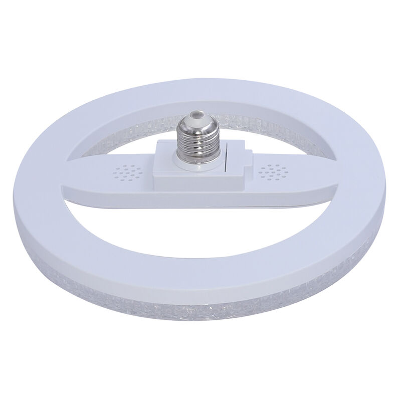 Foco Led Circular 22 W, Luz De D&iacute;a, Base E27, M... image number null