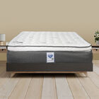 Colchón Queen Size Spring Air Phantom + Almohada Osos + Sábanas Spring Air Gris + Protector Spring Air Supreme.