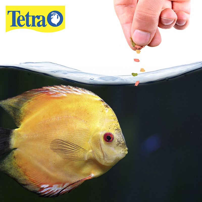 Tetracolor Tropical Flakes (62 G) image number null