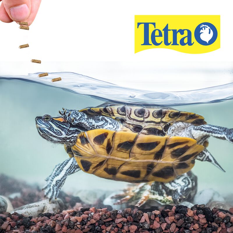Tetra Reptomin Alimento Para Tortugas Con 105 G... image number null