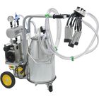 Máquina Ordeñadora De Leche 5 A 8 Vacas 80 L X Min