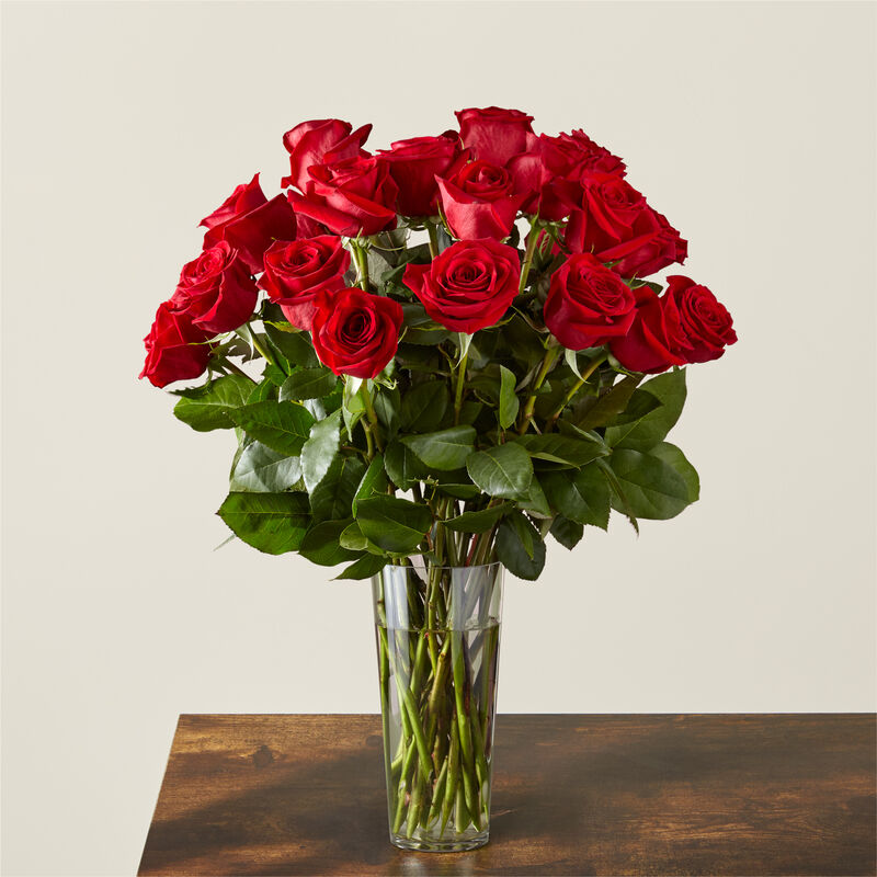 Timeless Red Bouquet 36 Rosas Rojas Premium image number null