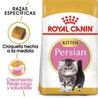 Royal Canin FBN Persian Kitten 3 LB 1.3 kg Royal Canin FBN Persian Kitten 3 LB 1.3 kg