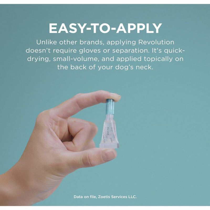 Revolution 12% (selamectina) 3 tubos x 2 ml (ve... image number null