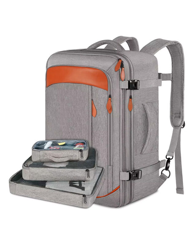 Back Elego image number null