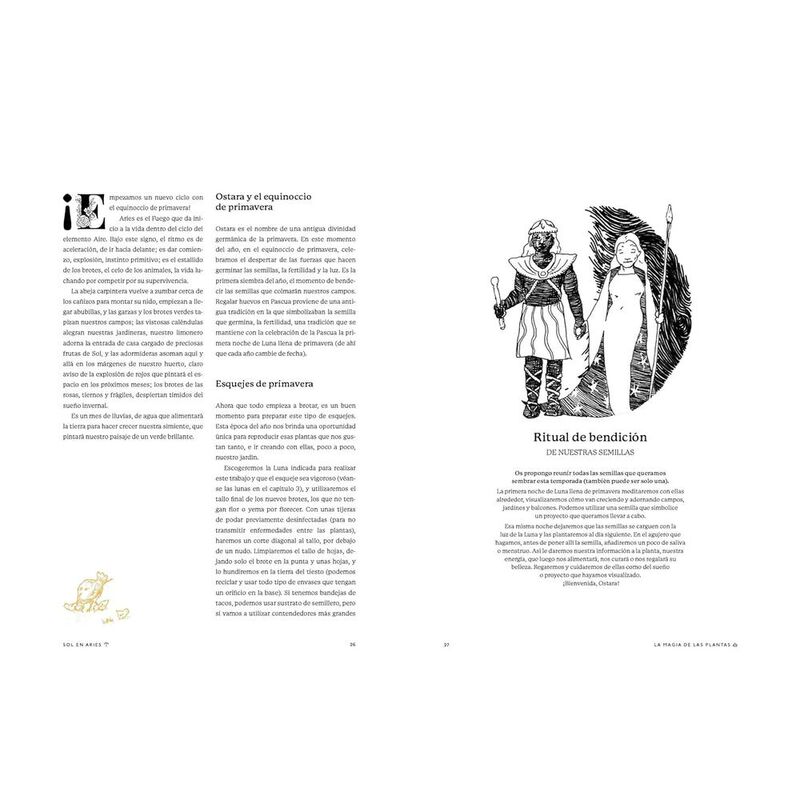 La magia de las plantas image number null