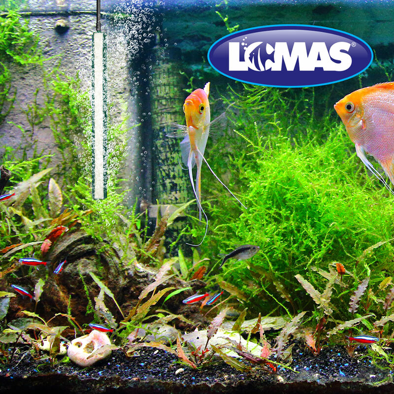 Lomas Piedra Difusora de Aire de 20 Cent&iacute;metros... image number null