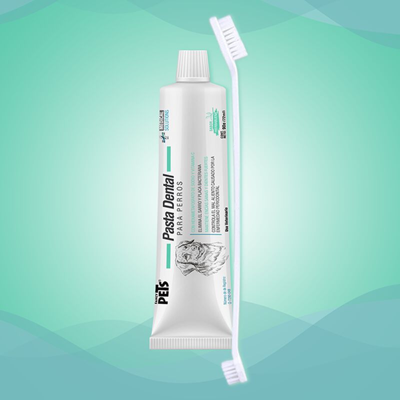 Medical Solutions Kit Dental Antisarro P/Perros image number null