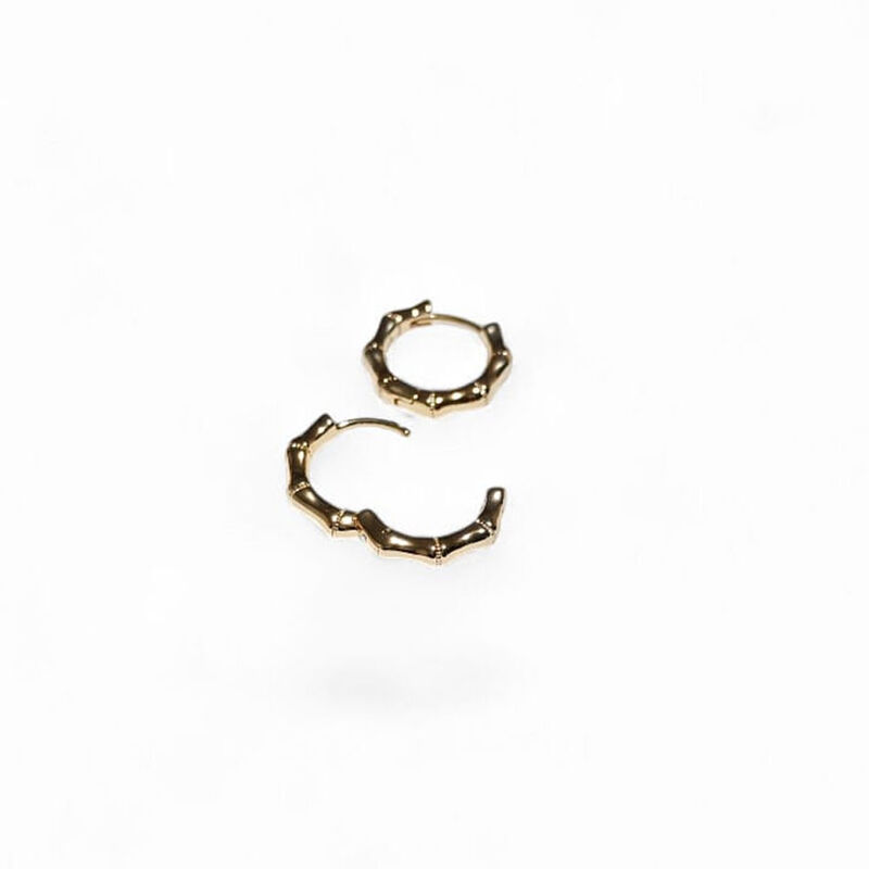 Arracadas doradas image number null