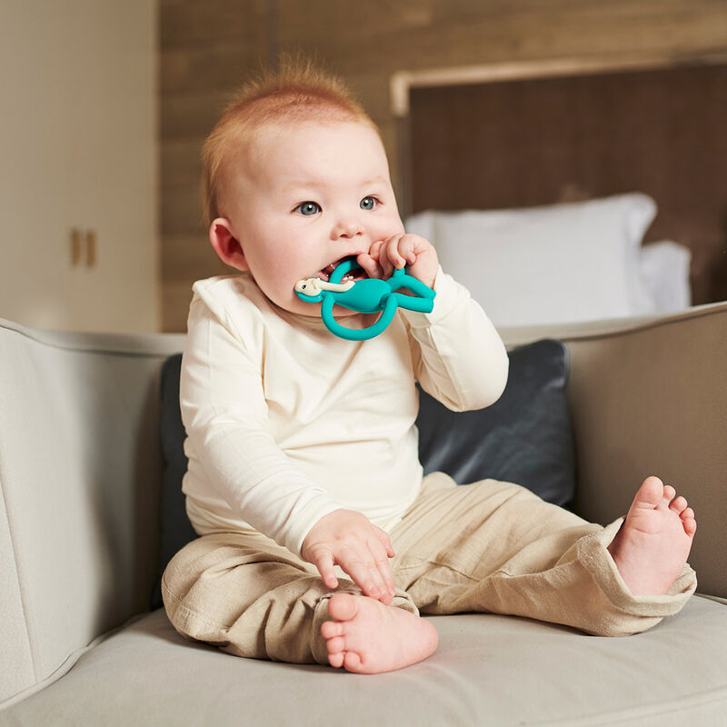 Mm Mordedera Elefante image number null