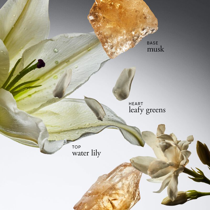 Espray De Ducha Perfume Philosophy Edt & Cdn, 1... image number null