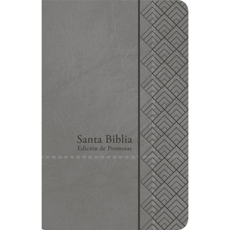 Santa Biblia de promesas image number null