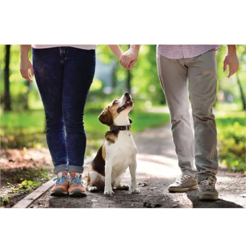 Antiladrido Collar MOTOROLA vibración pulso est... image number null