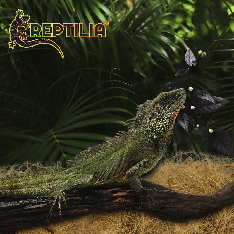 Reptilia Sustrato De Coco 100% Fibra Para Repti... image number null